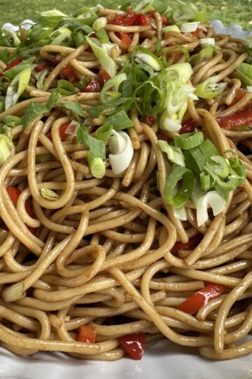 cold asian sesame noodle salad, white bowl on a picnic table